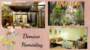Read more about the article Homestay Quận 1 – Top 5 homestay đẹp giá rẻ ngay trung tâm