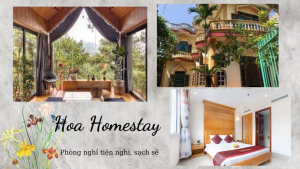 Read more about the article Homestay Sầm Sơn – Top 5 homestay view đẹp giá rẻ