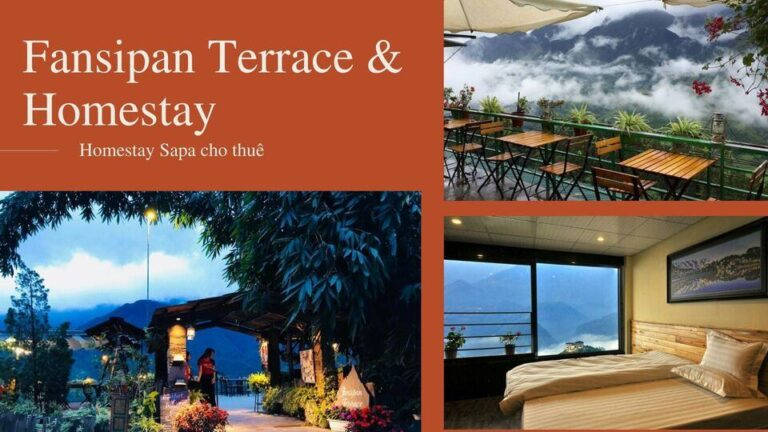 Săn mây tại Fansipan Terrace & Homestay Sapa là một trải nghiệm mà bất cứ du khách nào cũng phải thử